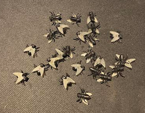 Flies w/Clear Wings  - 24 pcs.