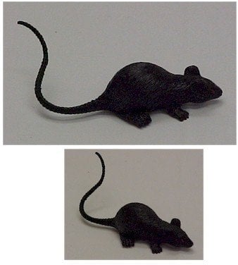 Mini Rubber Rat