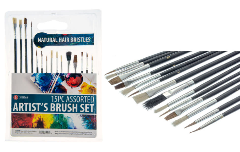 15 pc. Artist Brush Set by Sona Enterprises