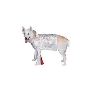 Rock Superstar Dog - Pet Costumes LG