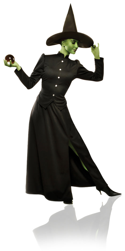 Classic Witch Adult Large by Costume Culture By Franco LLC