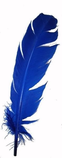 Indian Feather Blue