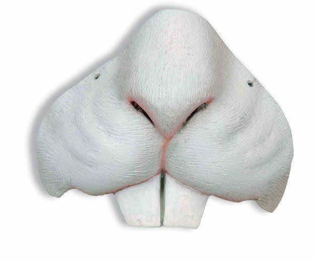 Rabbit Nose Mini Mask