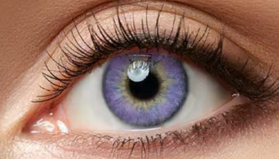 Chic Amethyst Contact Lenses