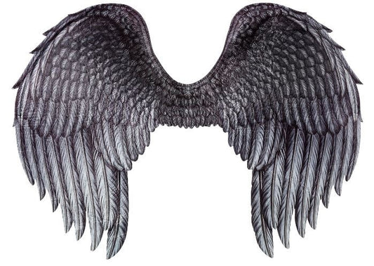 Dark Angel Wings, Printed by Forum Novelties