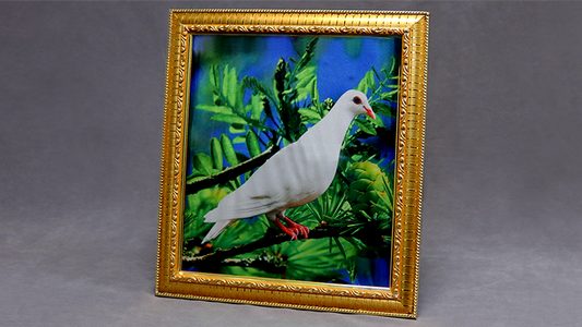 Dove Frame, Photo by Mr. Magic