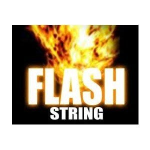 Flash Cord/String - 10 Feet by Theater Effects Inc.