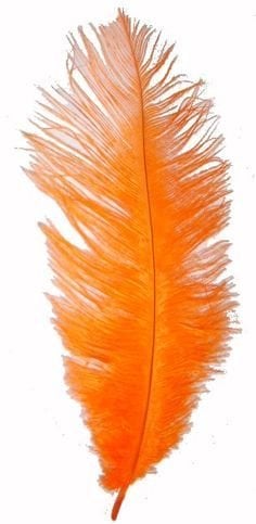 Feather Plume Orange by SA Feathers