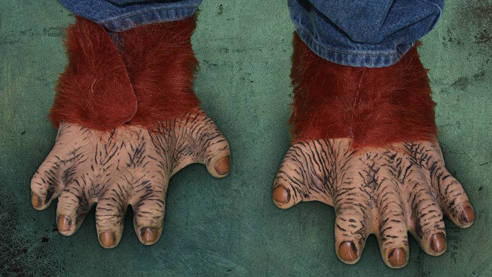 Orangutan Feet