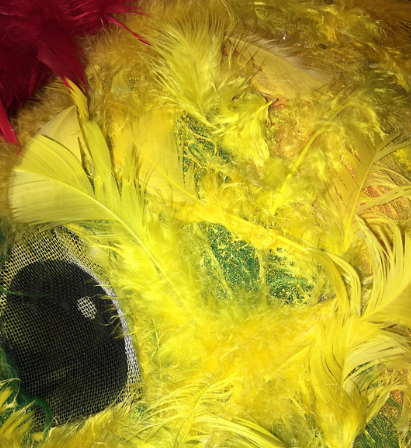 Etsy - Parrot Costume