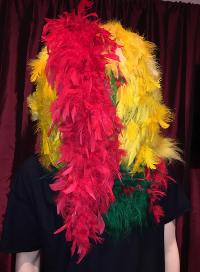 Etsy - Parrot Costume