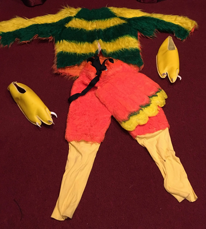 Etsy - Parrot Costume