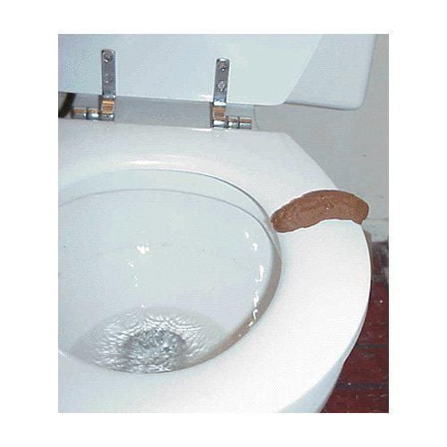 Toilet Seat Turd