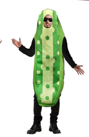 Pickle Costume One Size