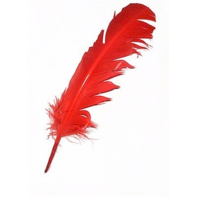 Indian Feather Red