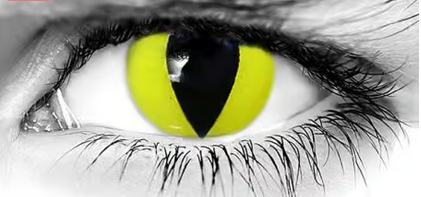 Yellow Cat Contact Lenses