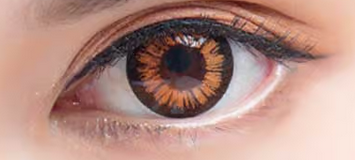 Color Max Amber Contact Lenses