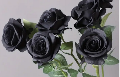 Black Roses 5pc Silk Flower Set