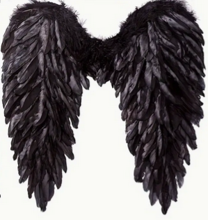 Feather Wings, Black - 16.9 H x 16.54 W inches