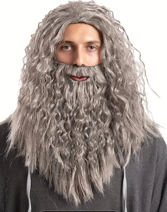 Wizard Beard and Wig Set Grey/Brown King Neptune Zeus Moses Caveman Hermit