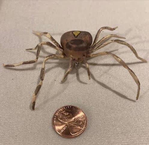 Bendable Spider With Pin