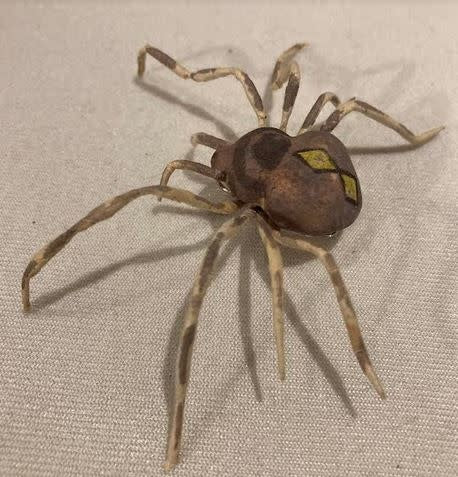 Bendable Spider With Pin