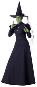 Wicked Witch Adult Extra Large Costume by InCharacter